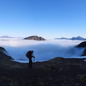 Meet your Posher, Darlene